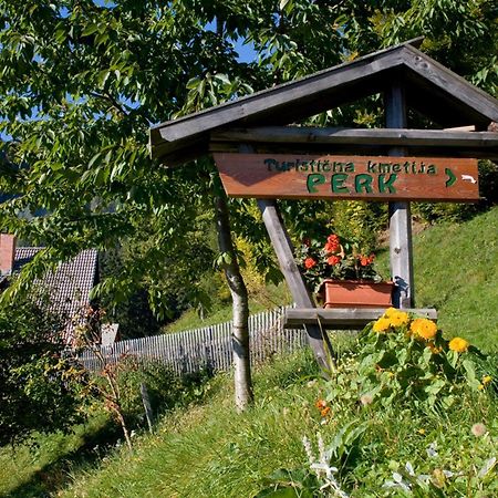 Solčava Turisticna Kmetija Perkヴィラ エクステリア 写真