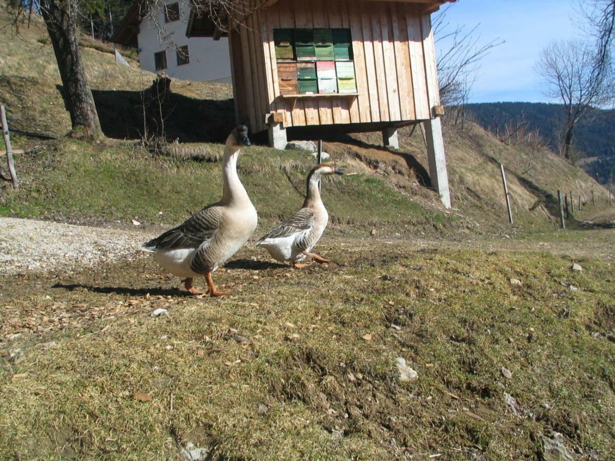 Solčava Turisticna Kmetija Perkヴィラ エクステリア 写真