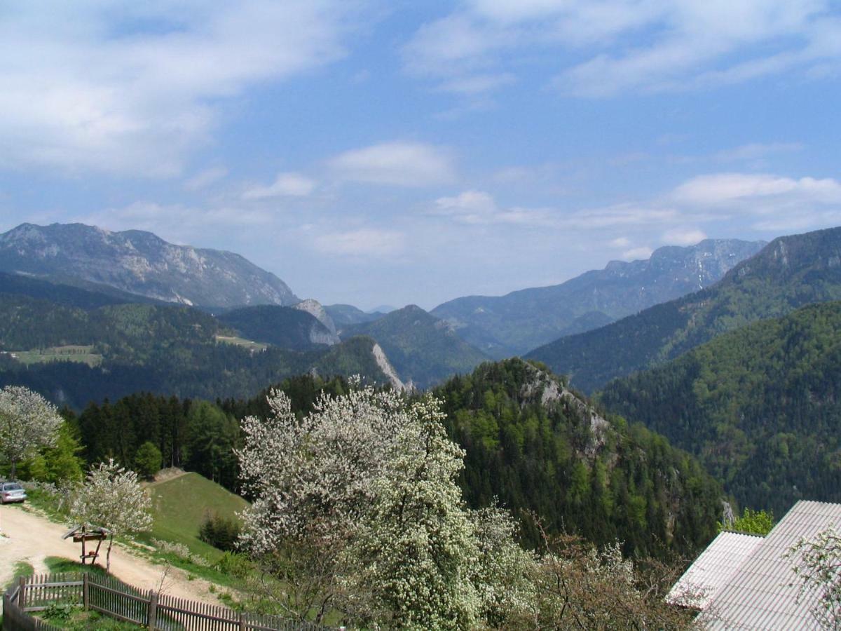 Solčava Turisticna Kmetija Perkヴィラ エクステリア 写真