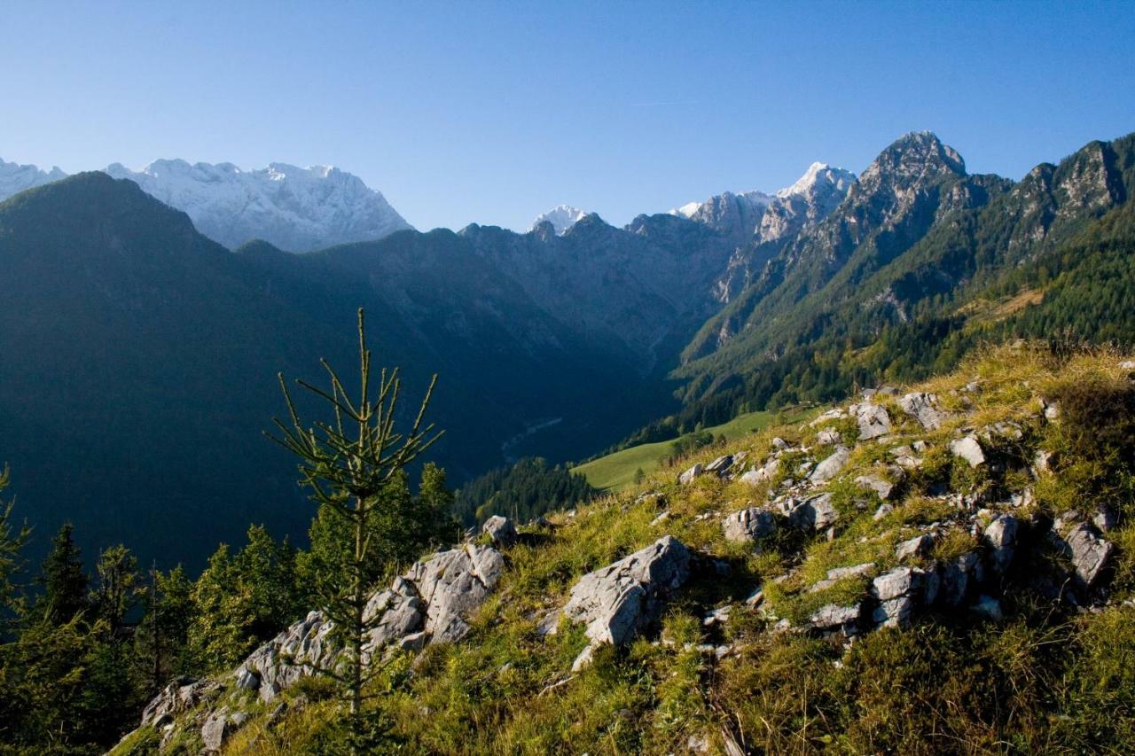 Solčava Turisticna Kmetija Perkヴィラ エクステリア 写真