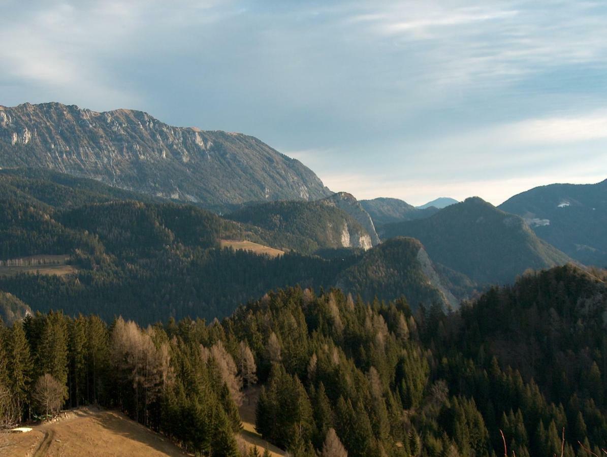 Solčava Turisticna Kmetija Perkヴィラ エクステリア 写真