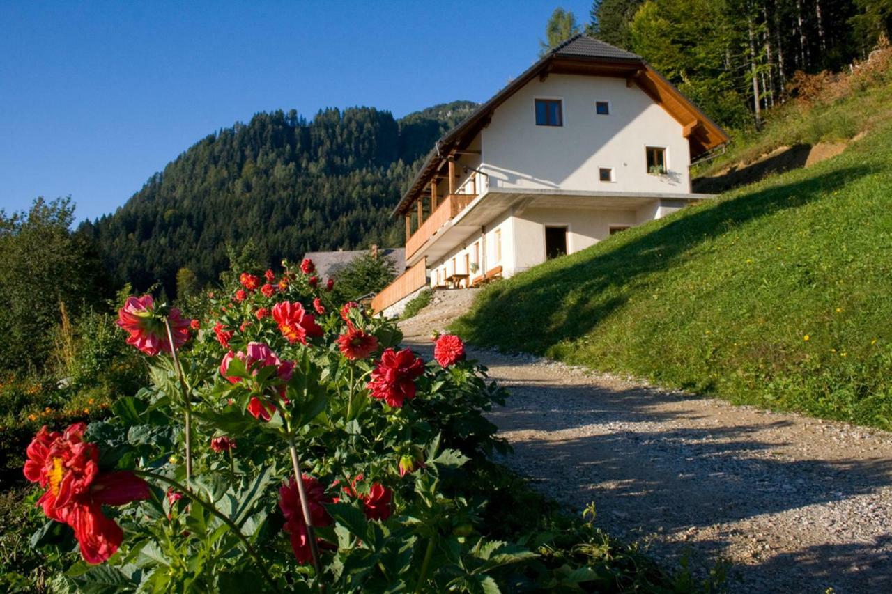 Solčava Turisticna Kmetija Perkヴィラ エクステリア 写真