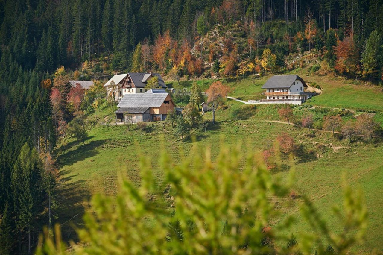 Solčava Turisticna Kmetija Perkヴィラ エクステリア 写真