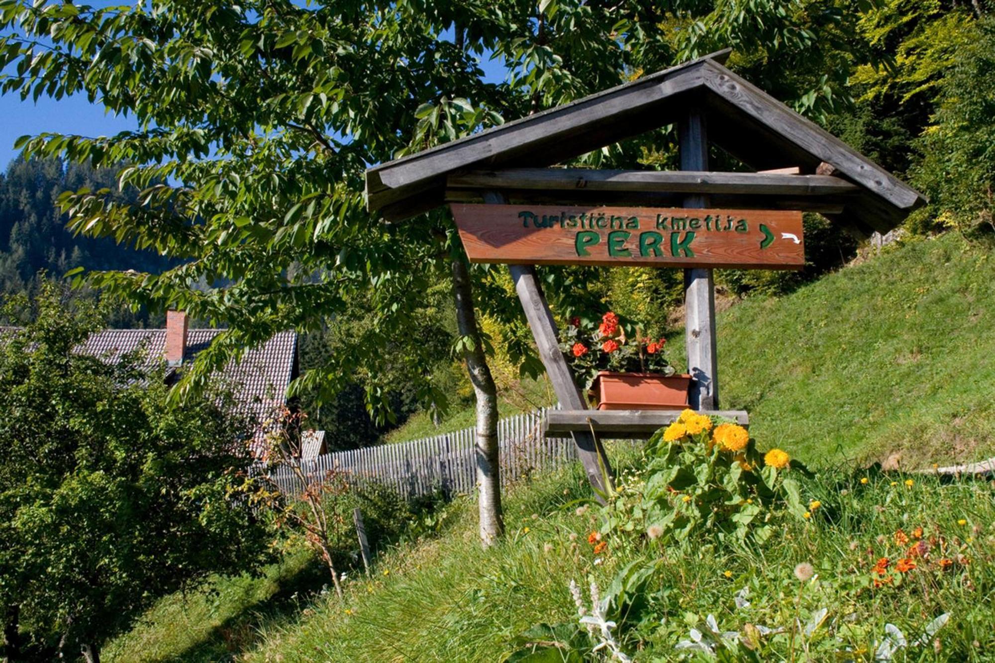 Solčava Turisticna Kmetija Perkヴィラ エクステリア 写真