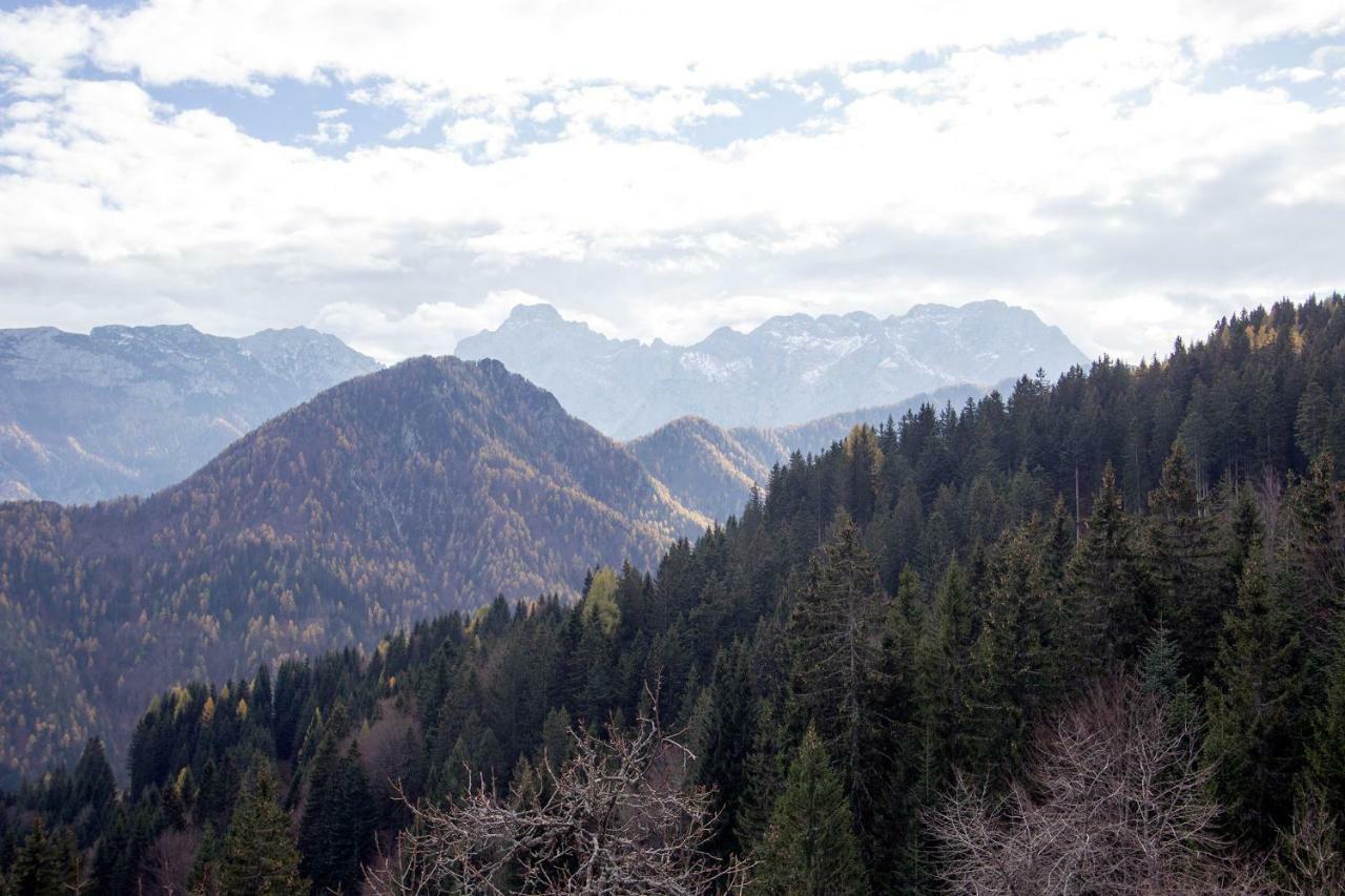 Solčava Turisticna Kmetija Perkヴィラ エクステリア 写真